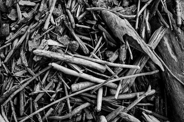 Black and white landscape photograph of a collection of driftwood pieces deposited along a riverbank.