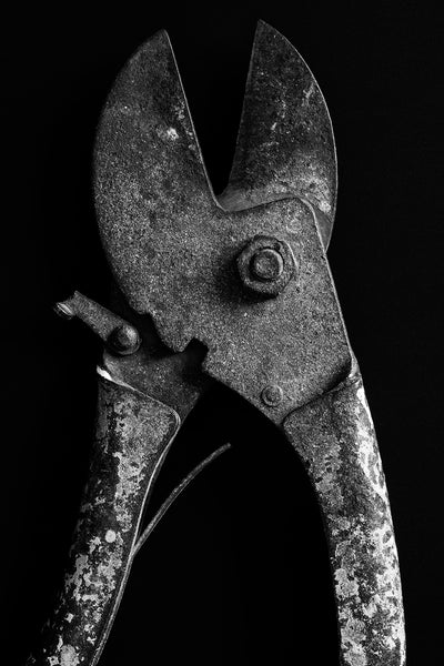 Black and white detail photograph of a pair of rusty old snips with fragments of red paint still visible on the handles.