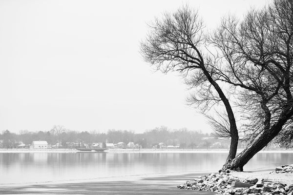 Black and white landscape photograph of windblown black tree on a rocky promontory beside a wintery lake.