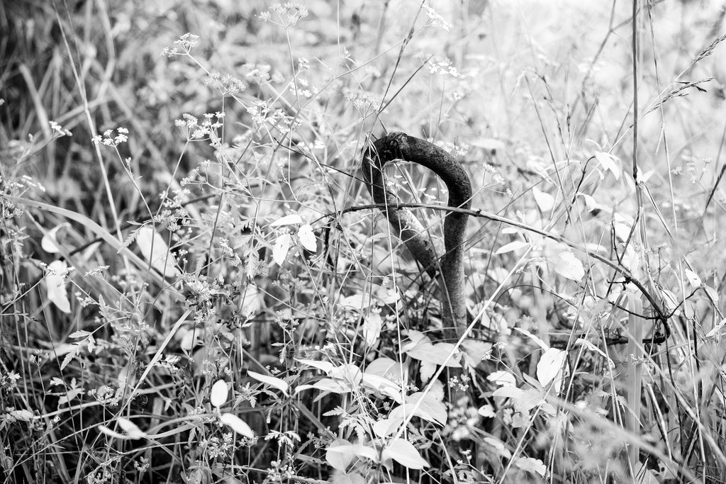 Black and white landscape photograph of a forgotten old metal ground anchor found in an overgrown sun washed field of wildflowers.