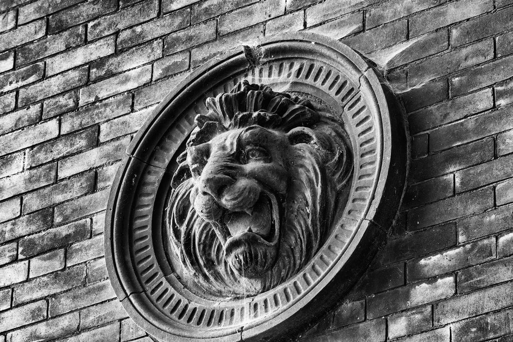 Black and white photograph of a dusty old ornamental medallion of a lion's head mounted on the outside of an historic downtown building in Lynchburg Virginia