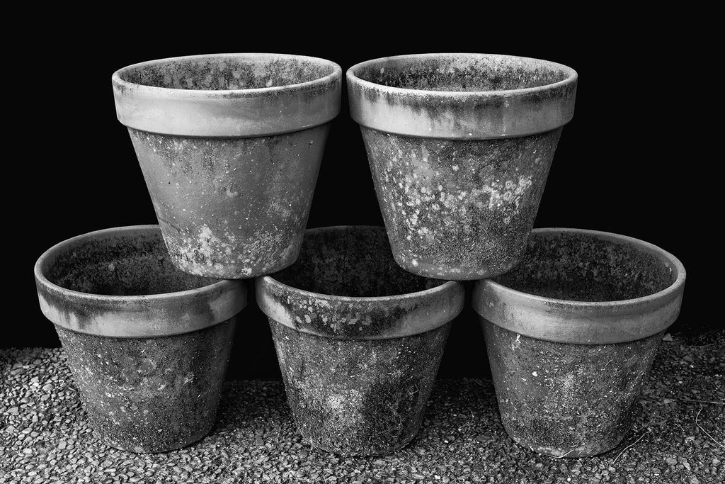 Highly-detailed black and white photograph of five stacked terra cotta flower pots covered in moss and lichens.