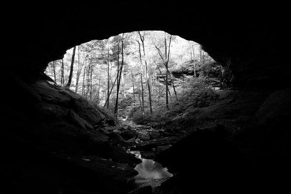 Forest Outside the Mouth of a Cave: Black and White Landscape Photograph (DSC01495)