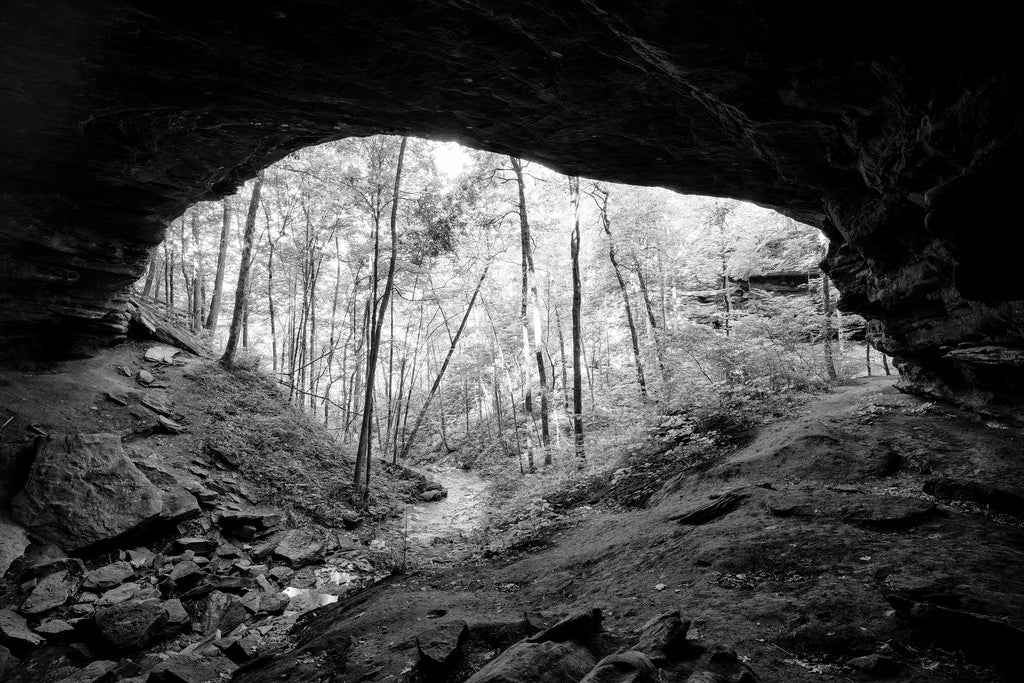 Black and white landscape photograph taken inside a cave with a stream running into the dense forest outside.