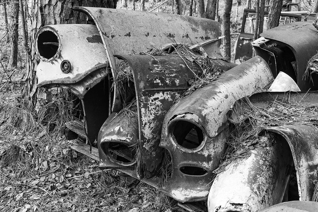 Black and white photograph of a tightly stacked row of classic antique car fenders found in the forest.