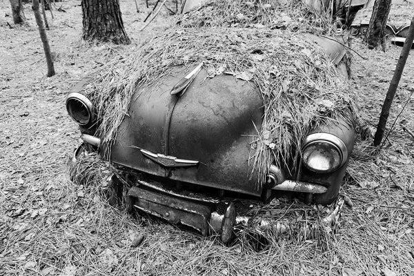 Black and white photograph of a classic antique American car abandoned in the southern woods, slowly being covered by pine needles.