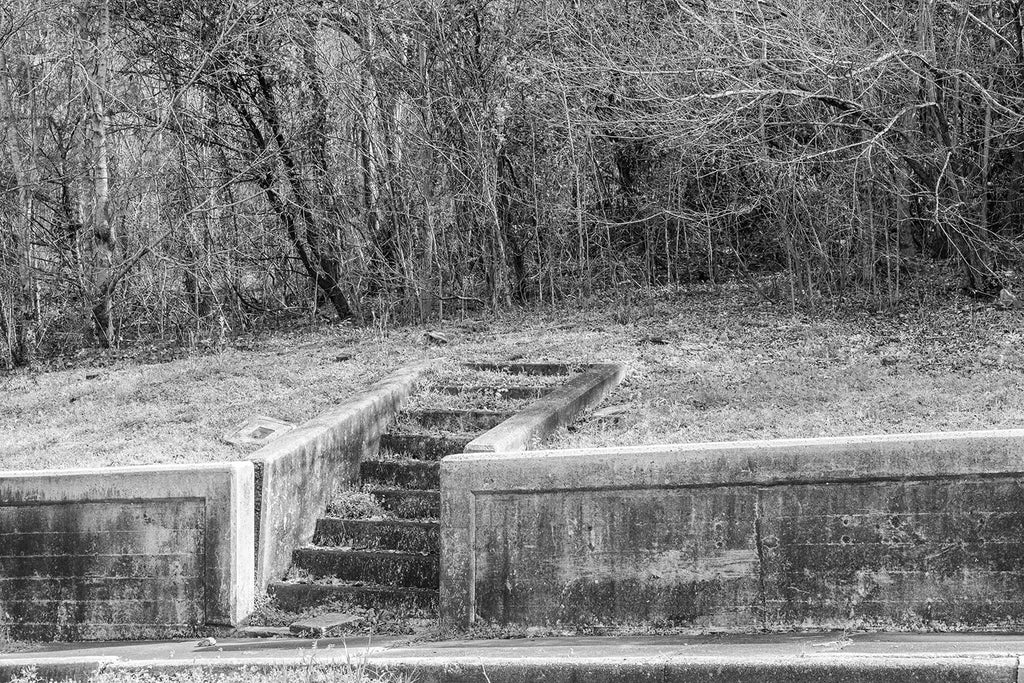 Black and white architectural detail photograph of old cement steps leading uphill onto an abandoned and thickly overgrown lot where a house once stood. The photo is titled "neighbors" because there is a companion photo of similar steps next door on the same street.