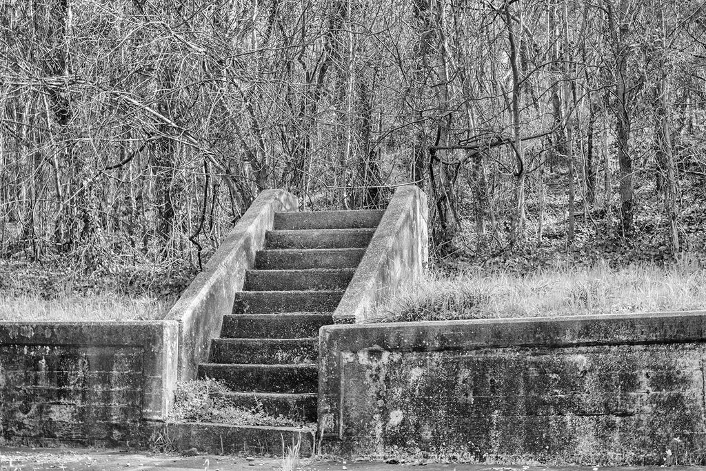 Black and white architectural detail photograph of steps in the front yard of a house that no longer exists. The photo is titled "neighbors" because there is a companion photo of similar steps next door on the same street.