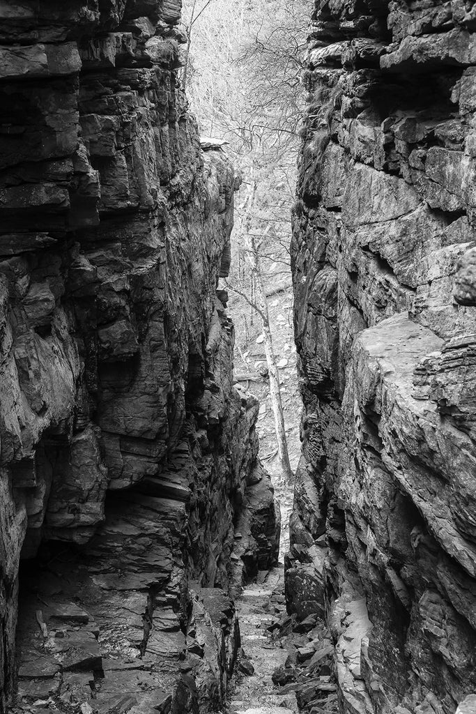 Black and white landscape photograph looking down the stone door, a hiking trail between two tall stone walls that leads down to the base of a cliff with a tree on the other side.