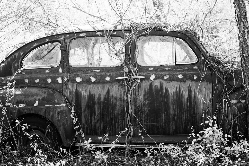 Black and white photograph of an antique classic American car abandoned in the forest with vines growing over and around it.
