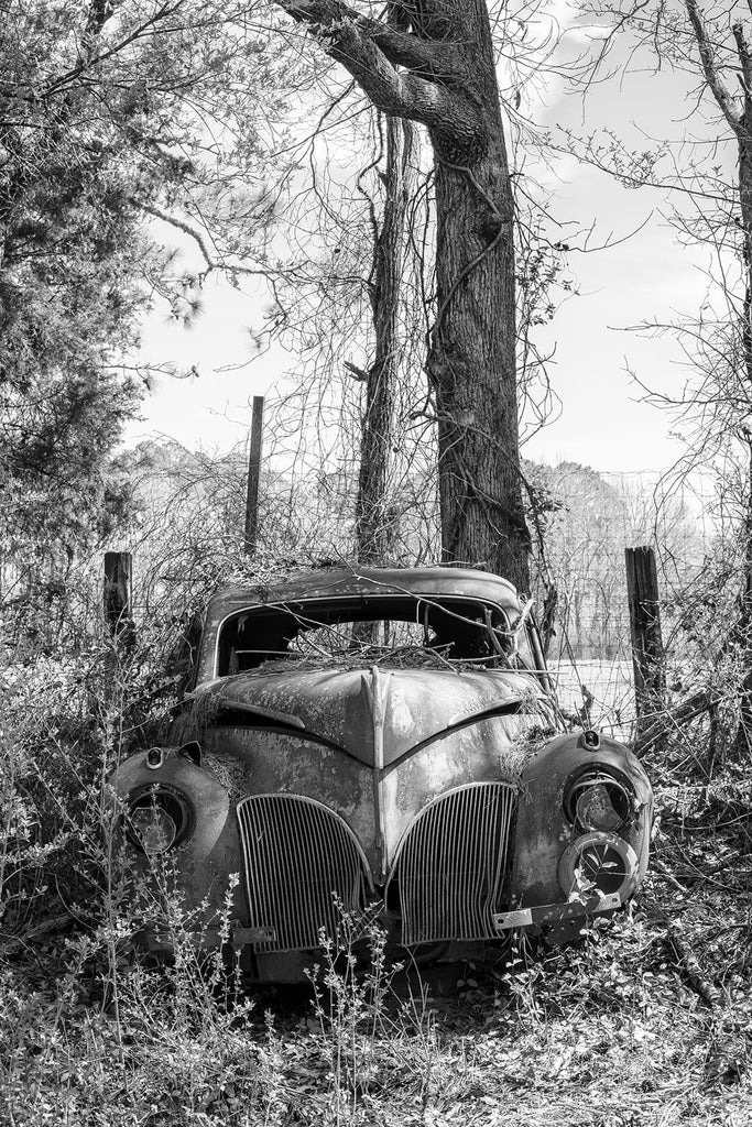 Black and white photograph of a rusty antique automobile abandoned in the country amongst weeds and tall trees.
