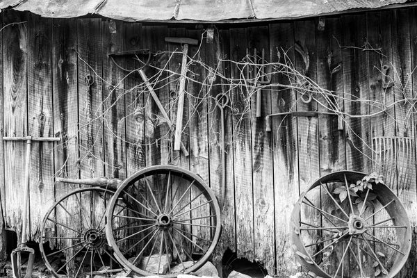 Black and white photograph of a weathered old wooden shed with rusty antique tools hanging on its exterior wall.