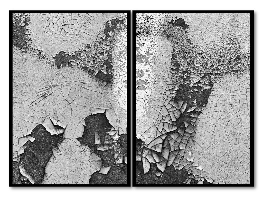 Set of two black and white abstract photographs of cracked and peeling paint on the door of a rusting old car. These photographs were shot with a macro lens of two side-by-side areas of rust on the door of an old wrecked car.