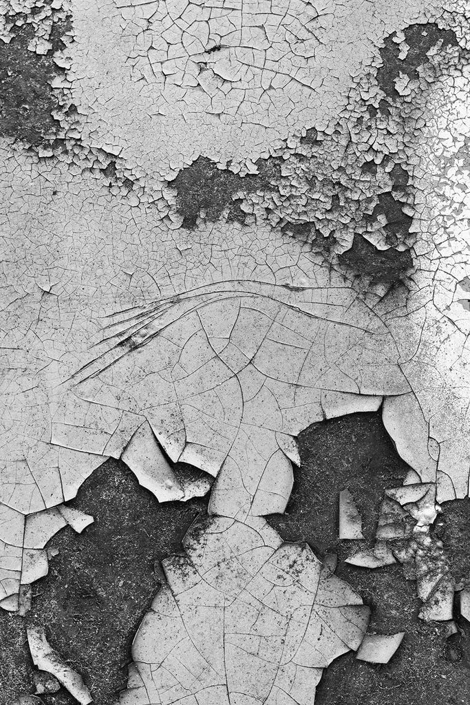 Cracked Car Paint Composition 01: Black and White Photograph (DSC02455)
