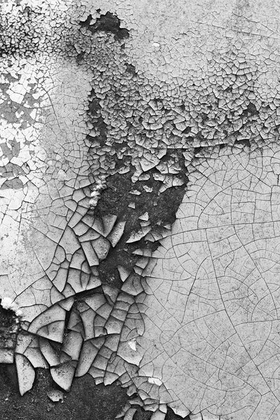 Black and white abstract photograph of cracked and peeling paint on the door of a rusting old car. Available alone or as a matched set of two in the "Sets and Groupings" portfolio.