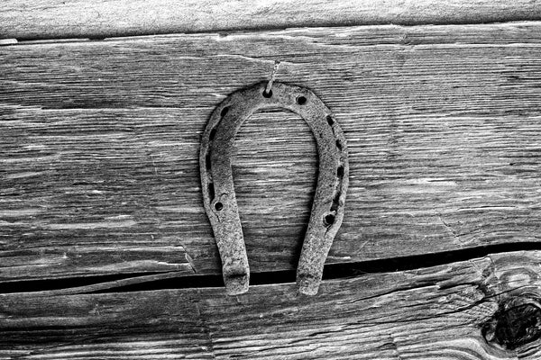 Black and white photograph of a rusty antique horseshoe nailed onto the textured wood of a weathered old barn.
