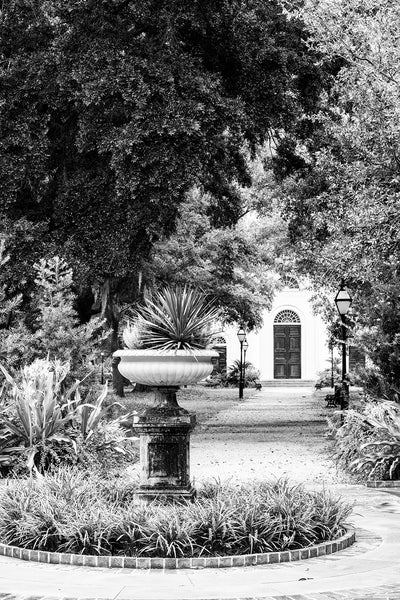 Black and white photograph of landscaping and architecture in Charleston's Wragg Square.