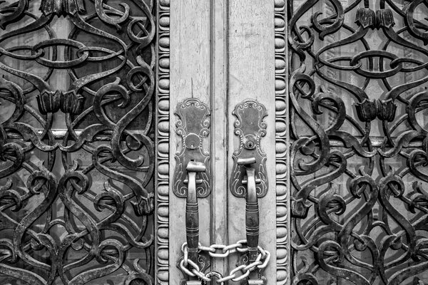 Charleston Farmers and Exchange Bank (Ironwork Detail) - Black and White Photograph (DSC02761)