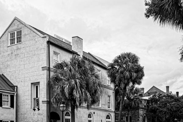 Black and white photograph of beautiful historic architecture in a district of Charleston that's home to many art galleries and studios -- and of course, palm trees.