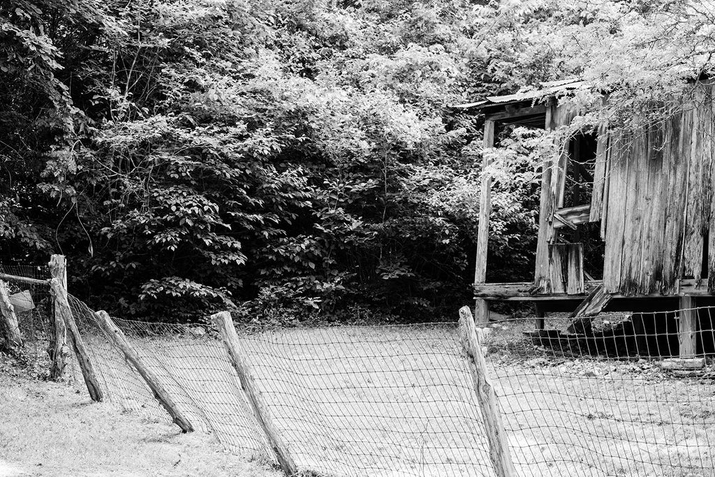 Black and White Photograph of Ruins in a Ghost Town