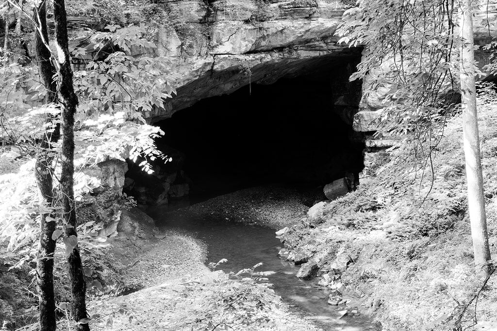 Black and white landscape photograph of the entrance to Russell cave in the hills of northern Alabama. This cave is one of the most archeologically significant locations in the US due to its almost continuous use as a shelter by Native Americans for nearly 10,000 years. Excavations have found 100,000 artifacts (two tons worth!), including human remains that are 8,500 years old.