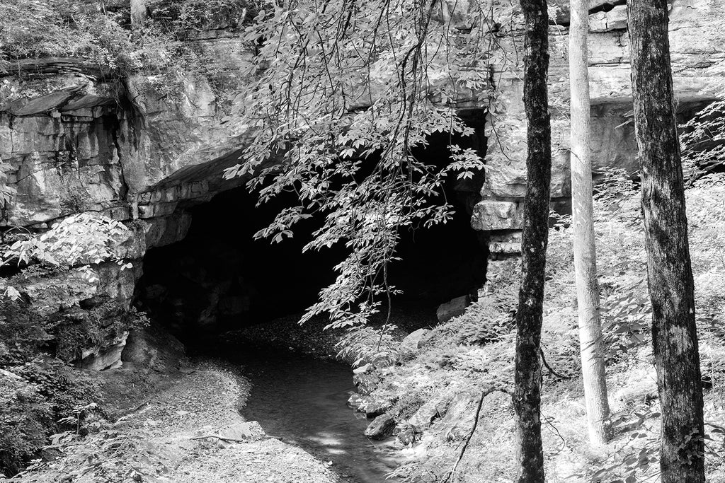Black and white photograph of a Cave Mouth in the Deep Woods