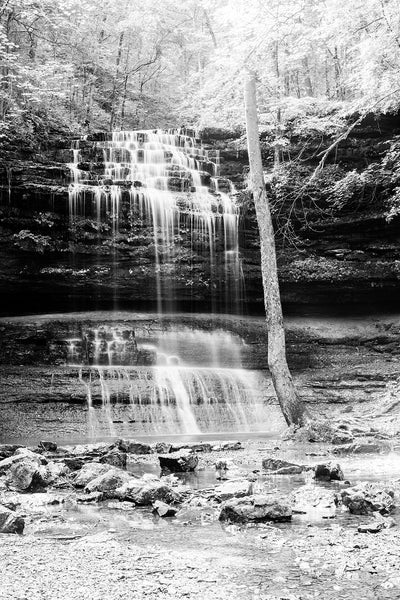 Black and white landscape photograph of sunlight splashing across the treetops and streams of a cascading waterfall in the woods.