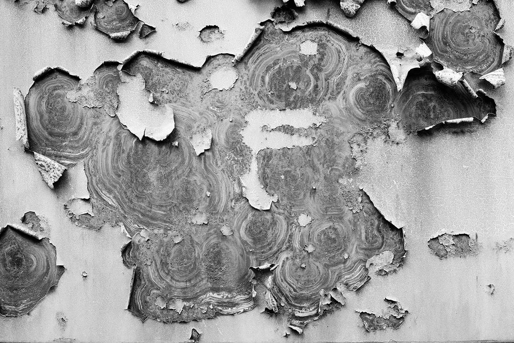 Black and white abstract photograph of peeling paint and rusty ring patterns on the metal wall of an old railroad car.
