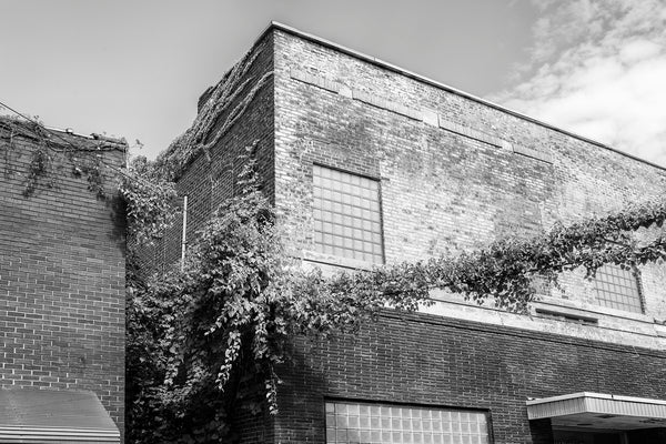 Black and white photograph taken on the street of a small southern town with climbing ivy on the brick walls and wires.