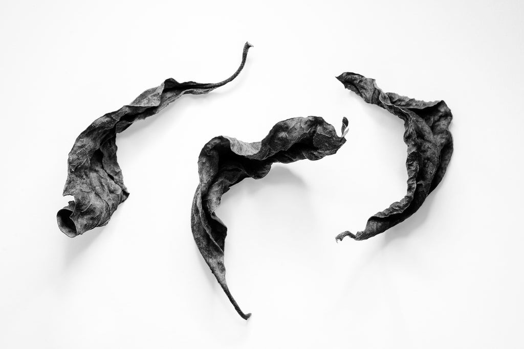 Black and white fine art photograph of three dried leaves arranged in what looks like a joyous dance.