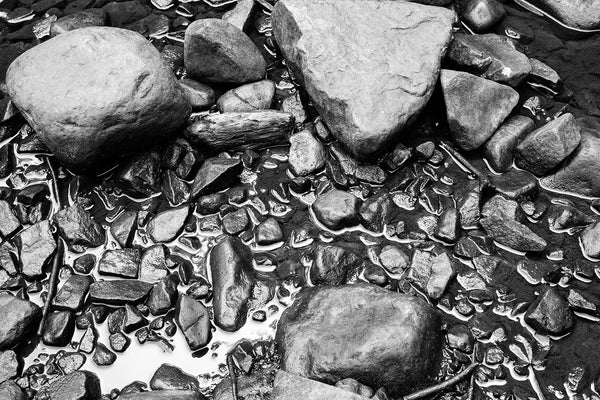 Black and white photograph of wet rocks in a shallow pool of water near the river's edge.
