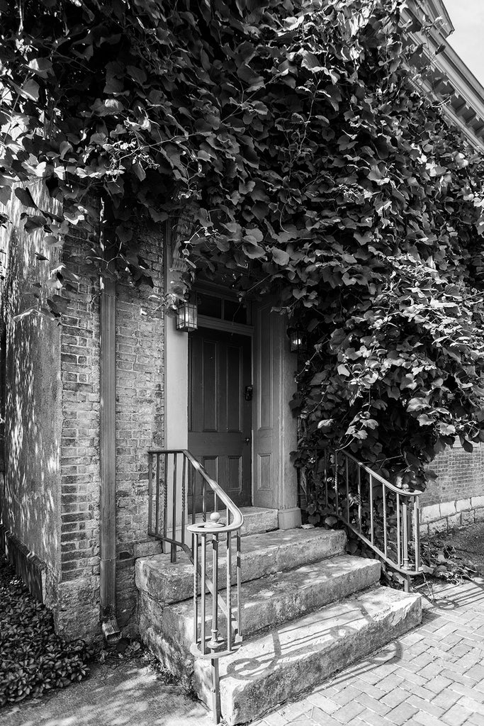 Black and white photograph of ivy shading the door of the historic McLean House, built 1820, in Bardstown, Kentucky.