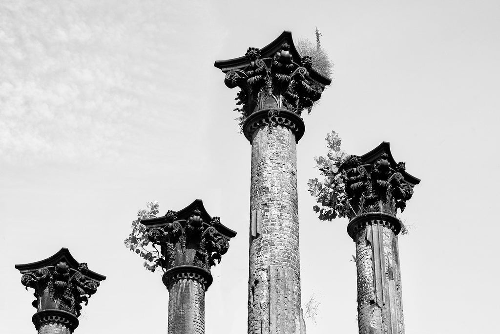 Black and white photograph of four columns still standing at the ruins of an old plantation house now known as Windsor Ruins deep in the Mississippi Delta.  