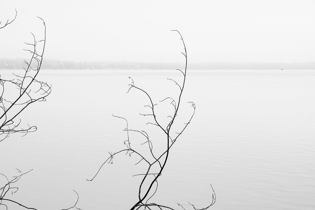 Minimalist black and white landscape photograph of a barren tree branches composed against an empty foggy lake.
