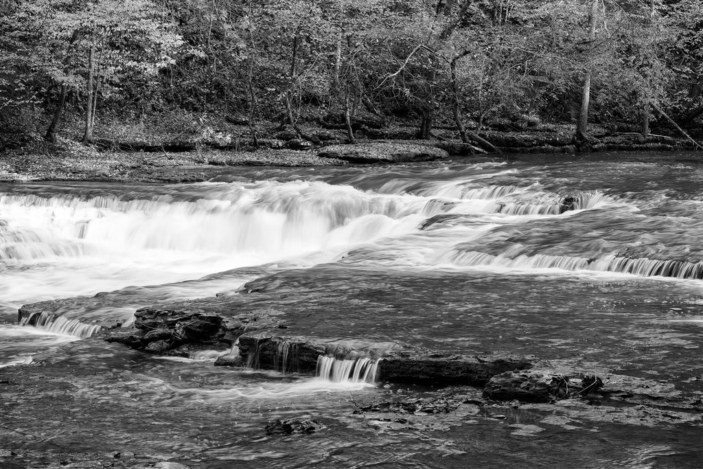 Black and white landscape photograph featuring white water rapids on a river running through the forest.