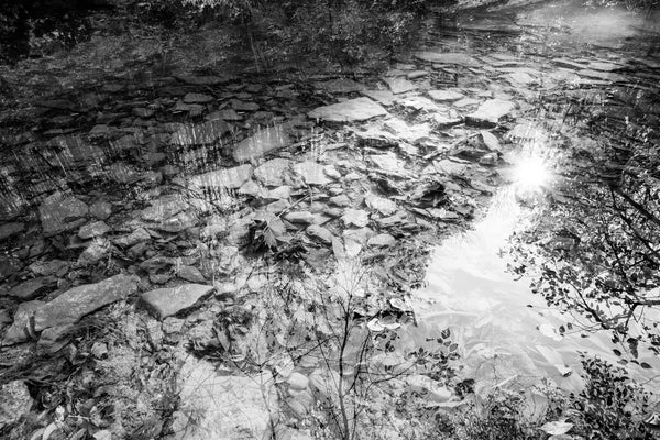 Placid Stream Reflection: Black and White Photograph (DSC06329)