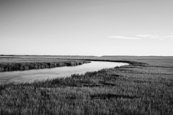 Black and white photograph of the southern coastal marsh landscape near Savannah Georgia