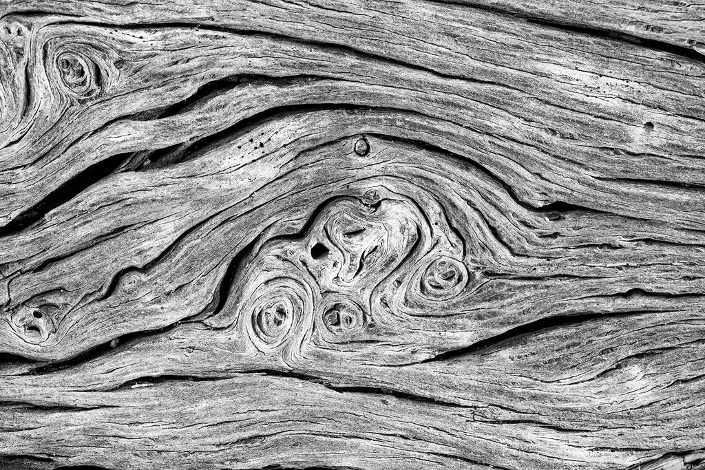 Highly detailed black and white abstract photograph of twisting and spiraling patterns found in a driftwood tree on the beach. Also available as a set of two companion photographs.
