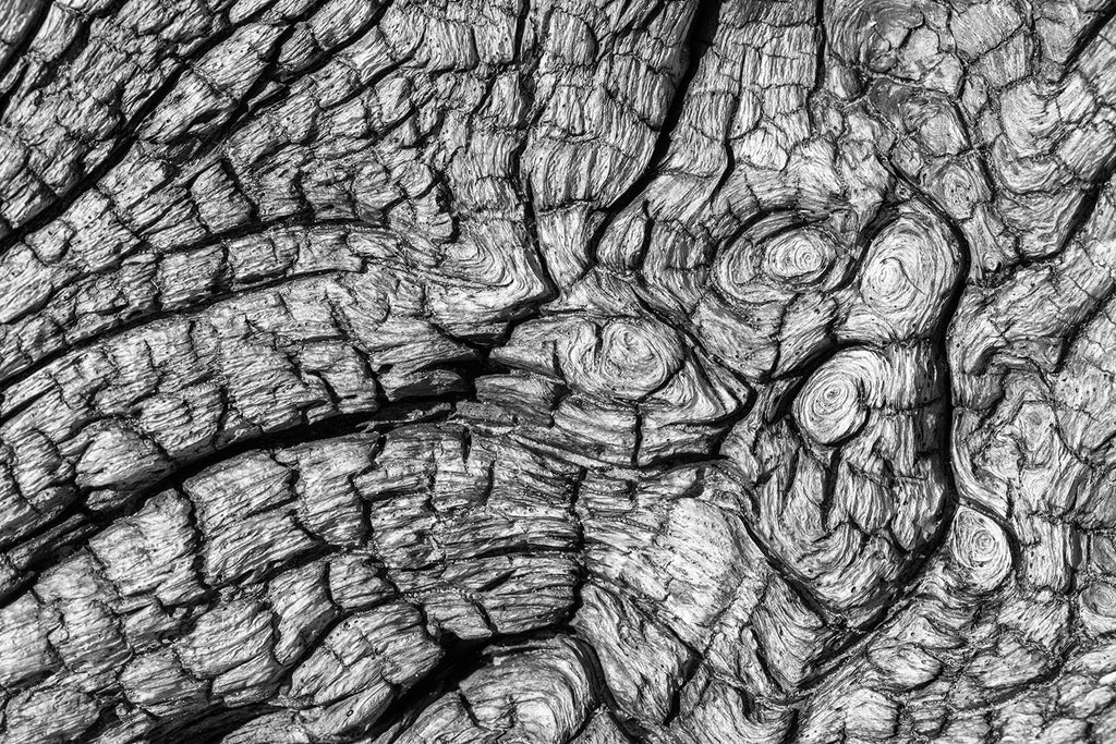 driftwood texture
