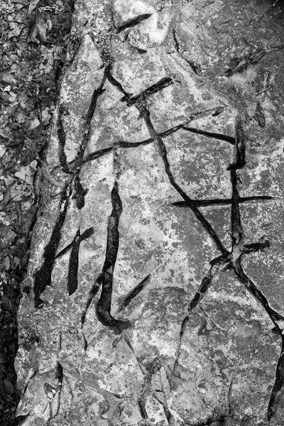 Black and white detail photograph of strange markings resembling calligraphy on a large piece of bedrock in the forest.