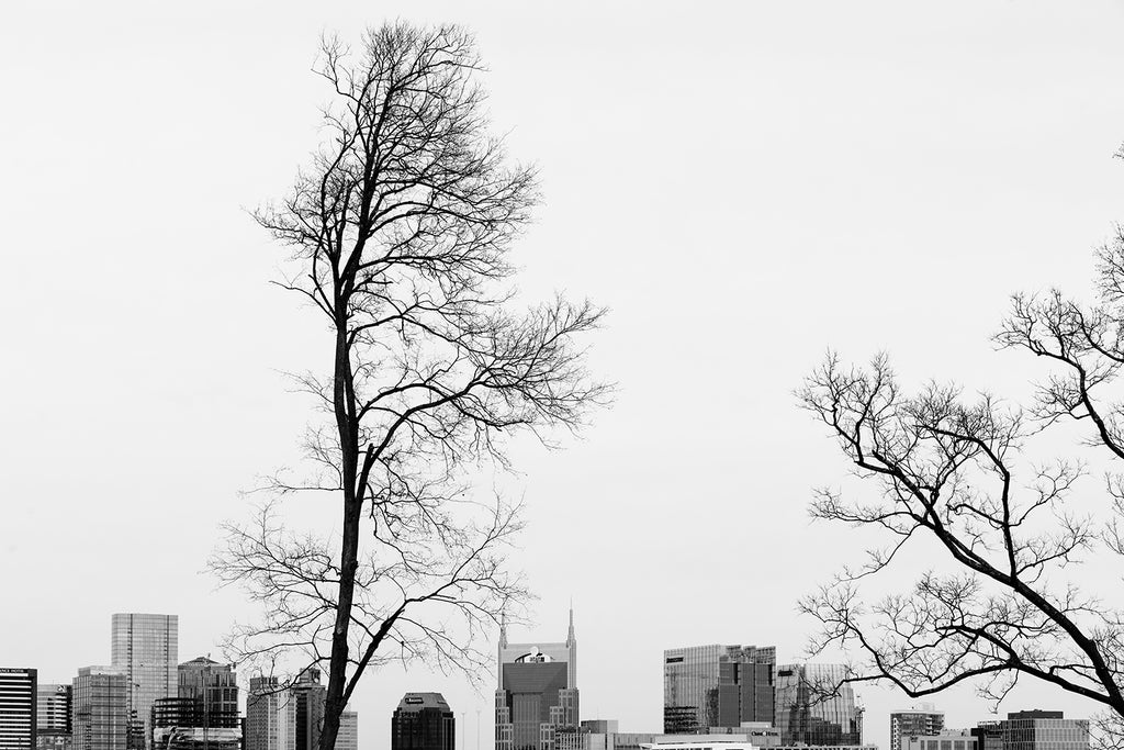 Black and white photograph of the skyline of downtown Nashville with black winter trees in the foreground