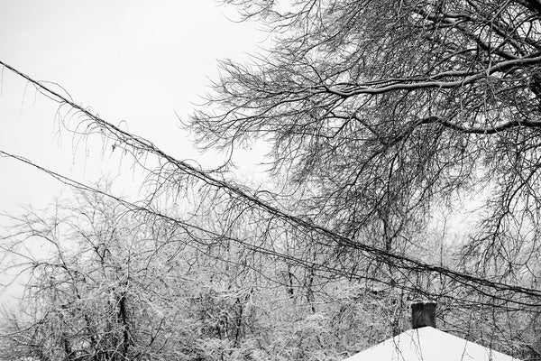 Black and white landscape photograph of vines on wires over the street on a quiet winter morning.