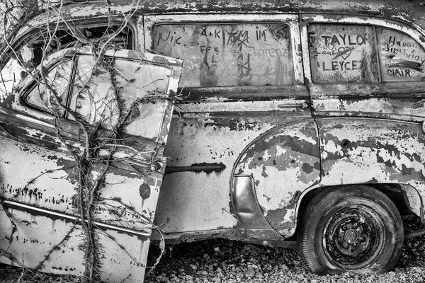 Black and white photograph of a rusty antique car covered with poison ivy and graffiti scribbled into the dust on the windows.