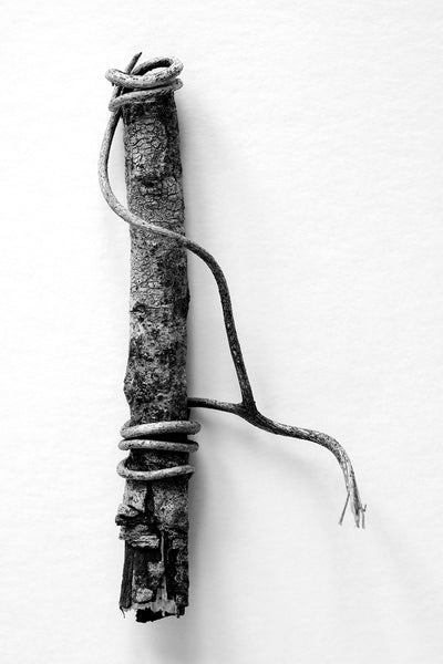 Black and white detail photograph of a small twig wrapped by a tiny vine shot on a minimalist white background.