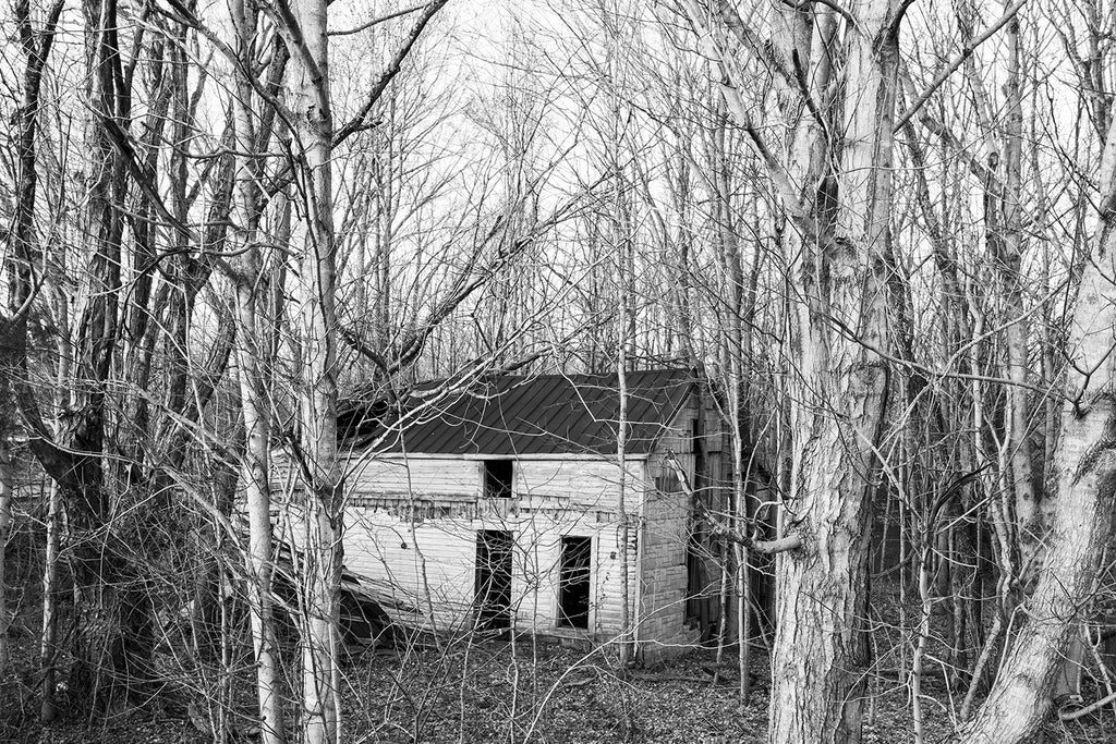 Ghost of an Old White House Peeking Through a Grove of Trees - Black and White Photograph (DSC08877)