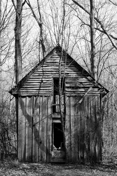Black and white photograph of an old wooden house long ago abandoned in the forest photographed in the soft light of late winter
