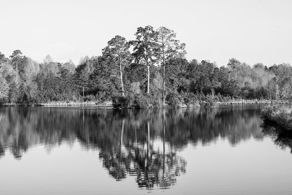 Black and white landscape photograph of trees reflecting in a placid pond just after sunrise in the American South.