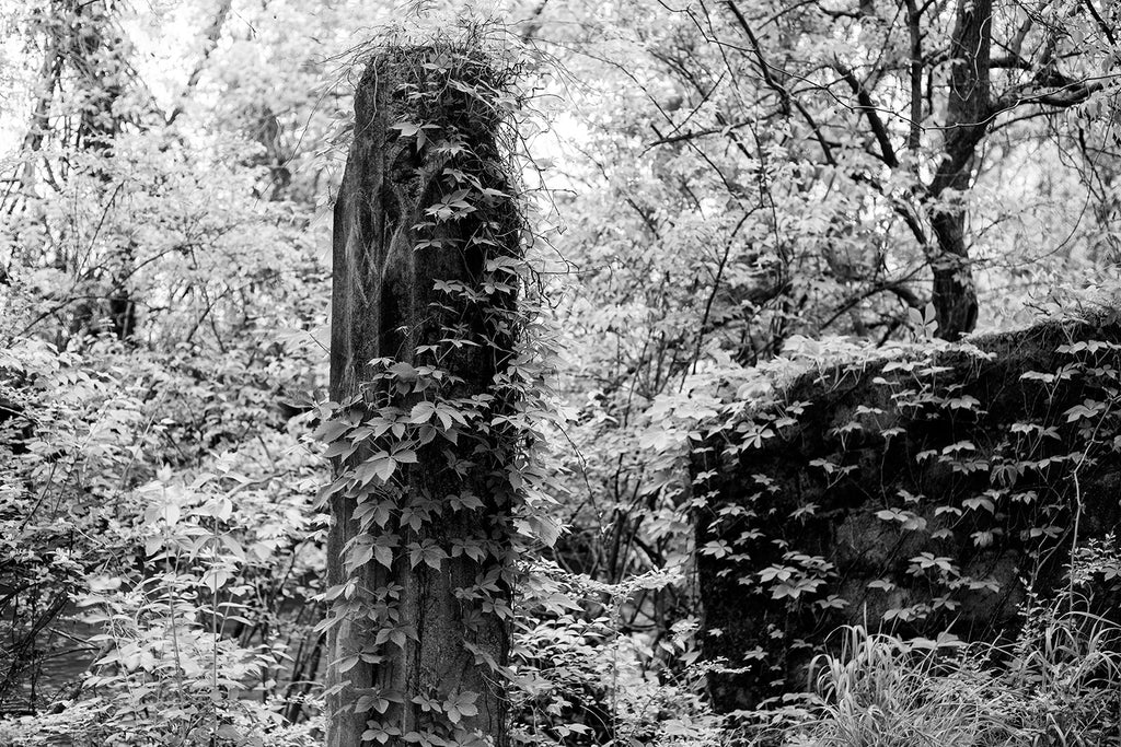 Black and white photograph of the ruined remains of a long-abandoned highway bridge becoming overgrown in the woods.
