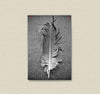 display idea for unframed black and white photo poster of feather detail