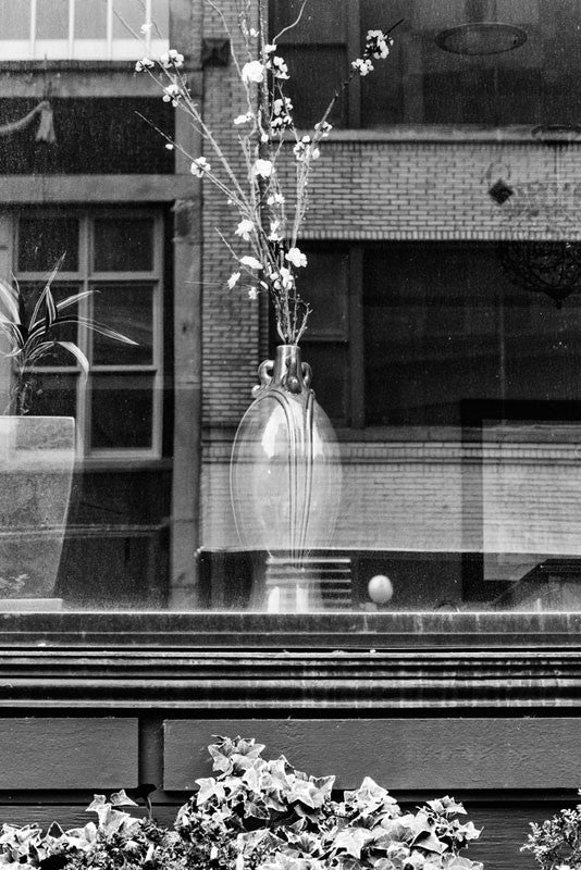 Black and white photograph of a vase with flowers in a downtown store window in Memphis, Tennessee.